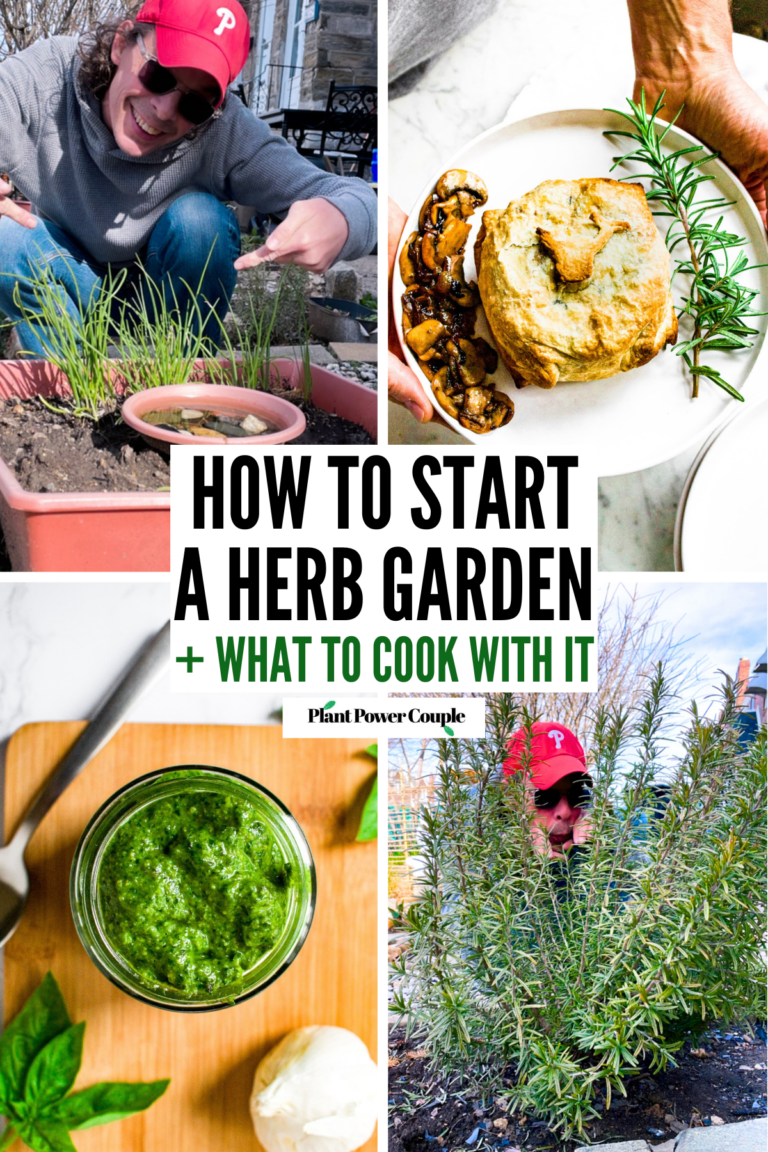How to Grow Herbs at Home: Complete Beginner's Guide (2026)