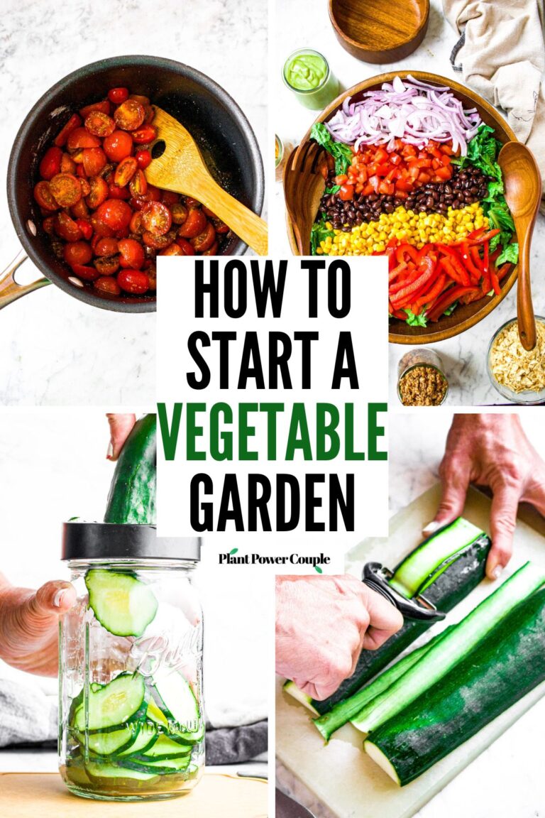 How to Start a Vegetable Garden for Beginners (+ recipes!)