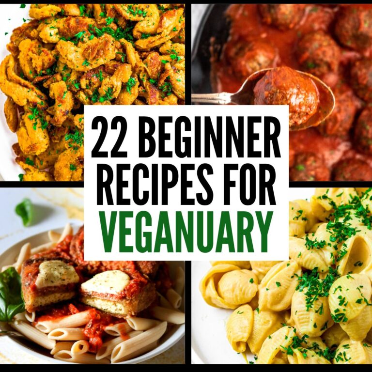 A grid with 4 photos of various vegan recipes with a white box in the center of the grid reading 22 beginner recipes for veganuary